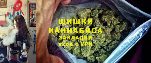 бошки Инта