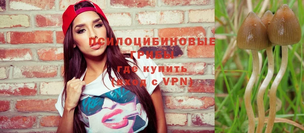 бошки Инта