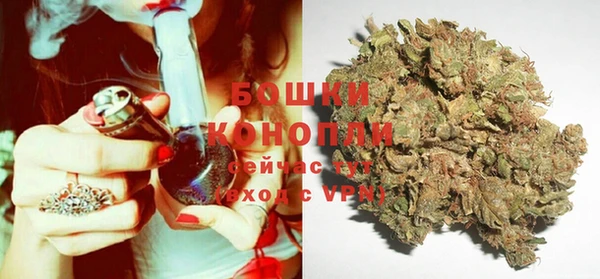 бошки Инта
