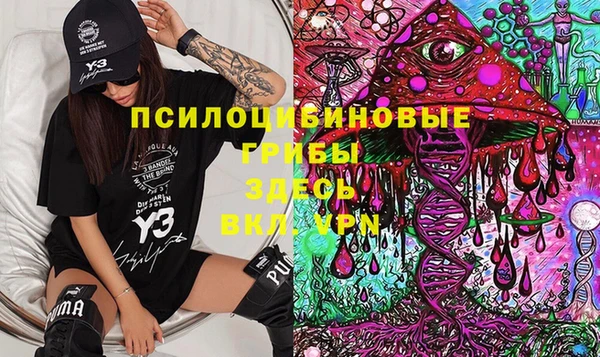 ешки Каменногорск