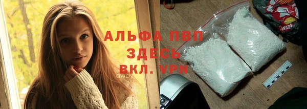 ECSTASY Иннополис