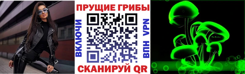 Купить где  Кадников  Псилоцибиновые грибы прущие грибы 